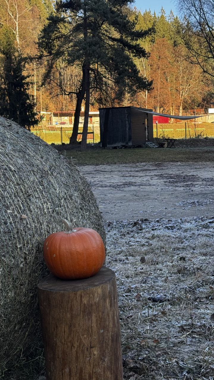 Quiet Anomaly Glamping